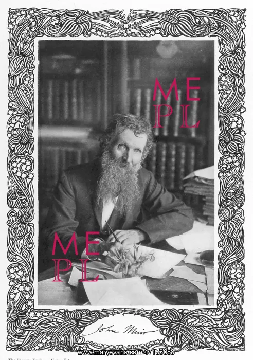  : John Muir (1838 - 1914), Scottish-American naturalist