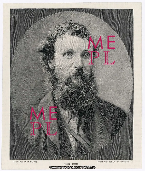  : John Muir. JOHN MUIR Scottish-American naturalist