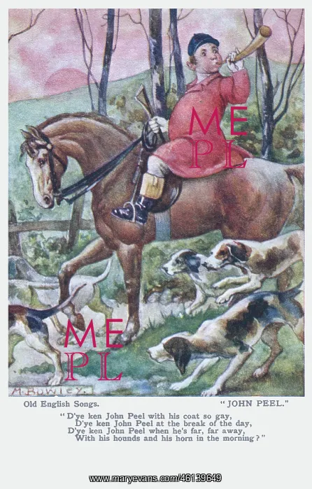 : John Peel. Image depicting John Peel on horseback with hounds, blowing his horn : John Peel. Image depicting John Peel on horseback with hounds, blowing his horn