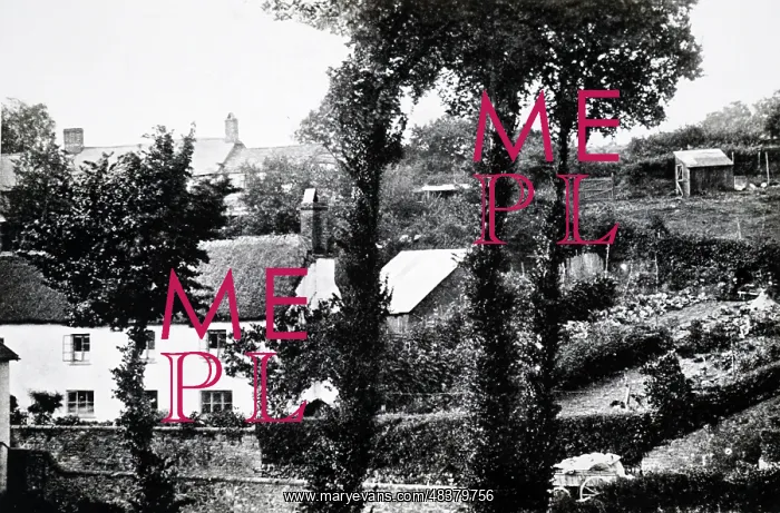 : John Ross's garden at Hatherleigh in Devon where : John Ross's garden at Hatherleigh in Devon where
