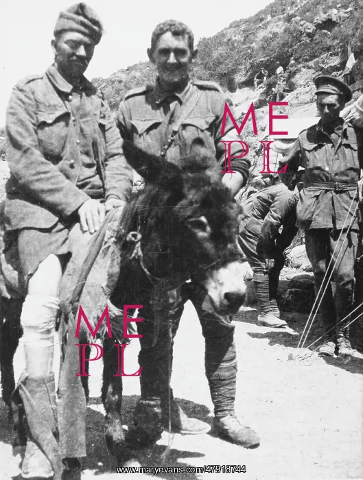 : John Simpson and his donkey, First World War : John Simpson and his donkey, First World War