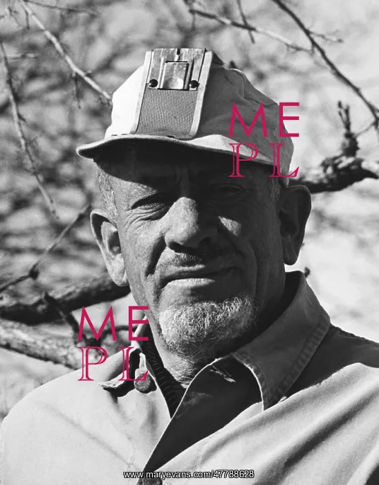 : John Steinbeck : John Steinbeck