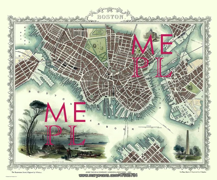  : John Tallis map of Boston, Massachusetts, USA
