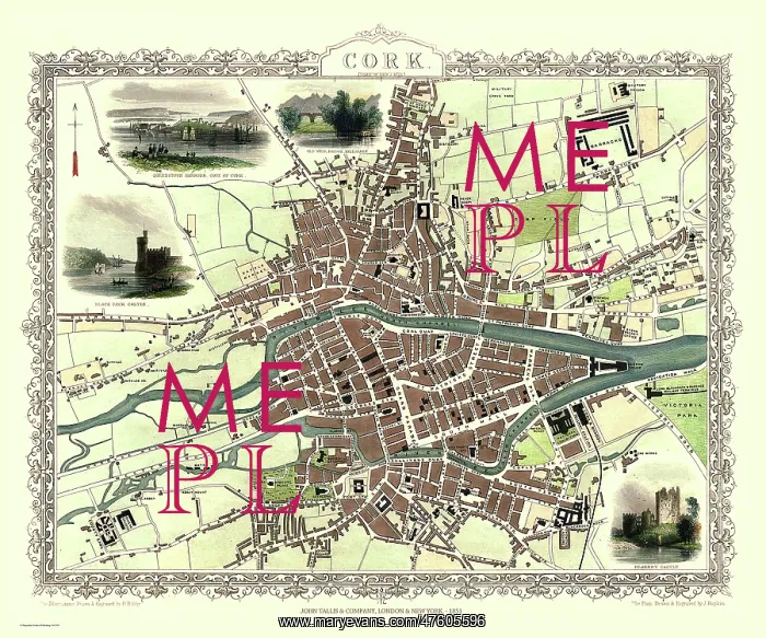  : John Tallis map of Cork, Republic of Ireland
