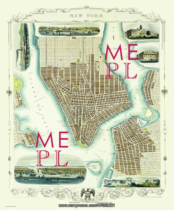  : John Tallis map of New York, USA