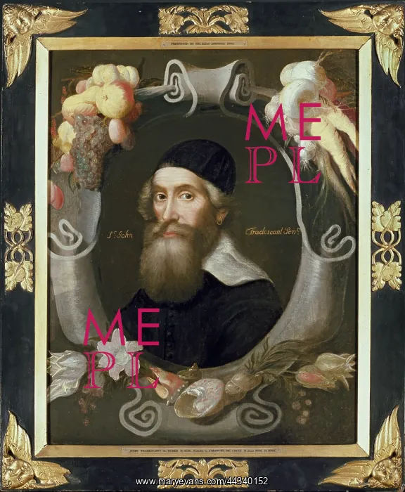  : John Tradescant the Elder