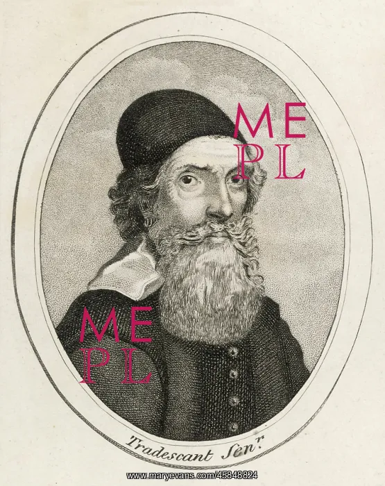  : JOHN TRADESCANT (ELDER)