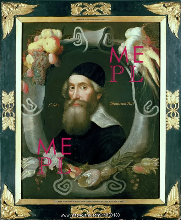 : John Tradescant the Elder (framed) : John Tradescant the Elder (framed)