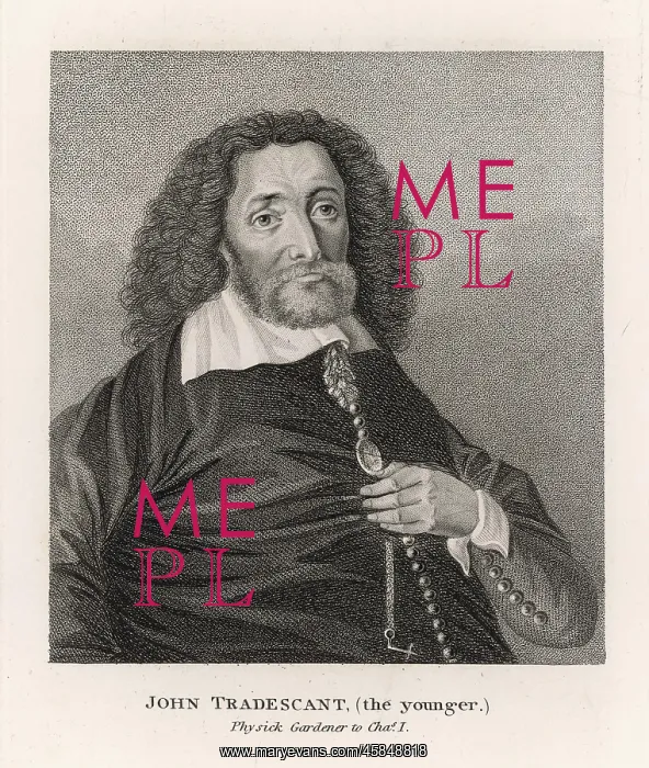  : John Tradescant (younger)