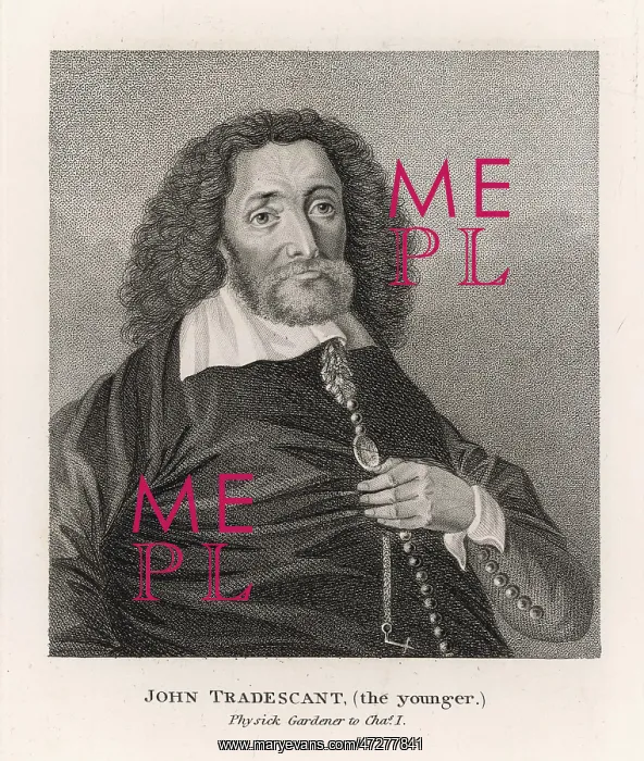  : John Tradescant (younger)