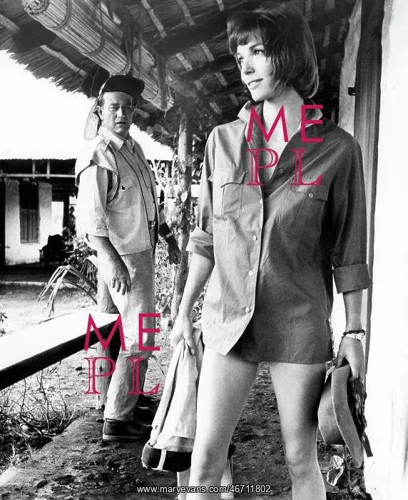 : John Wayne - Elsa Martinelli - Celebrity : John Wayne - Elsa Martinelli - Celebrity