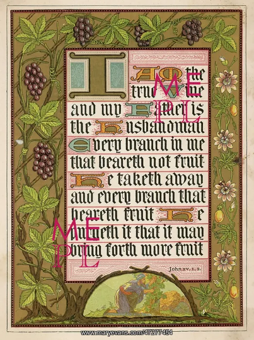 : John XV. JOHN XV: 1, 2 I am the true vine and my father is the husbandman.. : John XV. JOHN XV: 1, 2 I am the true vine and my father is the husbandman..