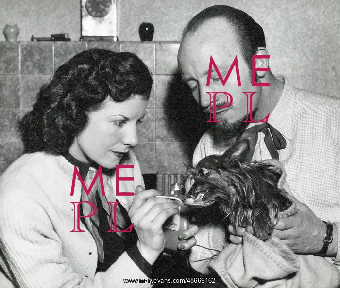 : Johnny Denis and Netta Rogers, miniature Yorkshire Terrier : Johnny Denis and Netta Rogers, miniature Yorkshire Terrier