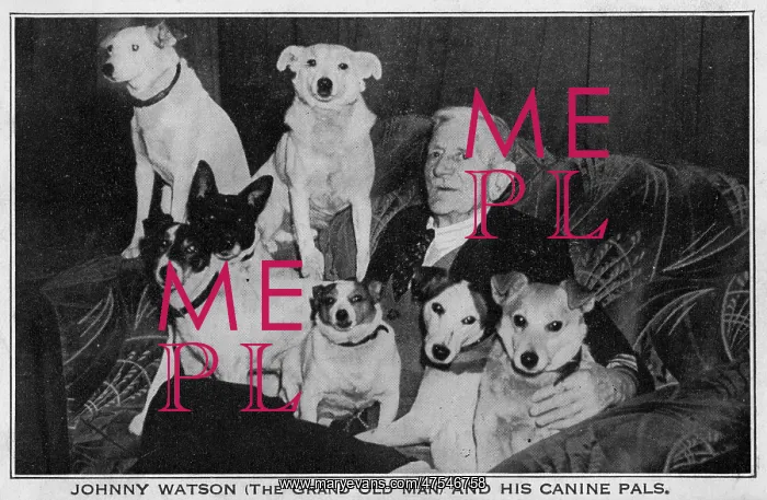 : Johnny Watson and his canine pals : Johnny Watson and his canine pals