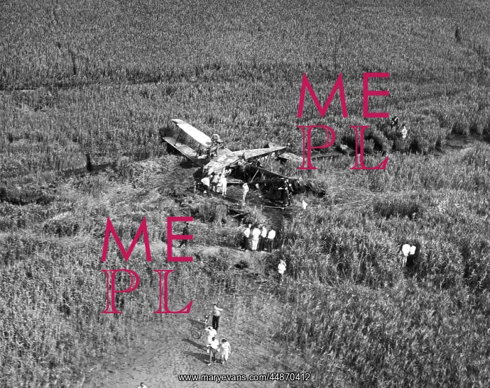 : JOHNSON'S PLANE CRASH : JOHNSON'S PLANE CRASH