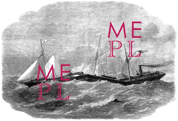 : The Jointed Iron Steam-ship Connector, 1863 : The Jointed Iron Steam-ship Connector, 1863