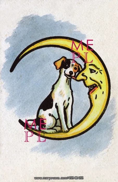 : A Jolly Jack Russell licks the Moon's nose : A Jolly Jack Russell licks the Moon's nose