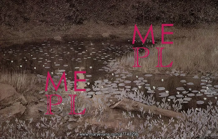  : Jomfruland Lilypond