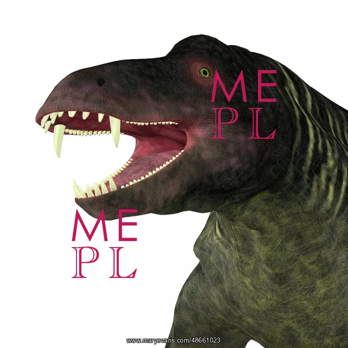 : Jonkeria dinosaur head : Jonkeria dinosaur head