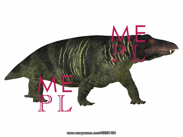 : Jonkeria dinosaur, side profile : Jonkeria dinosaur, side profile