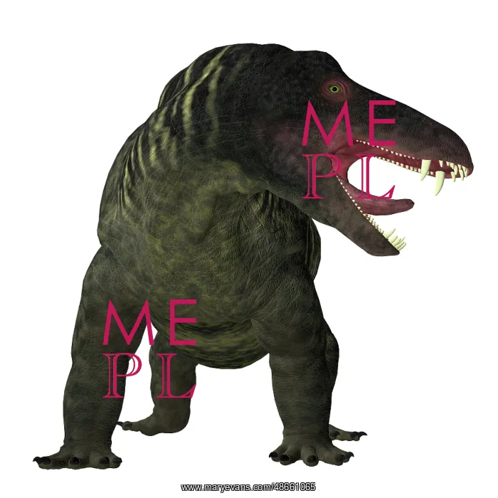 : Jonkeria dinosaur on white background : Jonkeria dinosaur on white background
