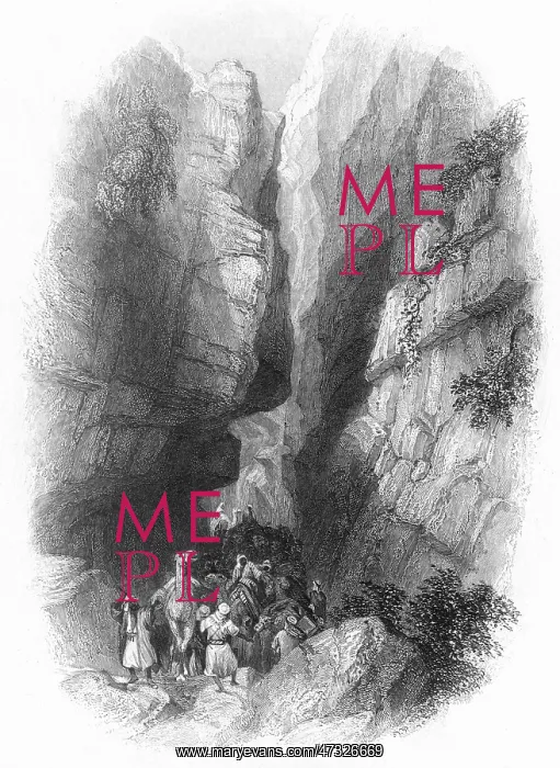  : JORDAN / PETRA RAVINE 1835