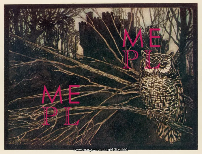 : JORINDA AS OWL (1) : JORINDA AS OWL (1)