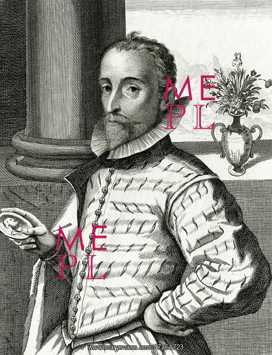 : JORIS HOEFNAGEL : JORIS HOEFNAGEL