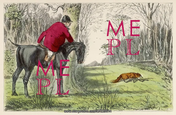 : JORROCKS AND THE OLD FOX : JORROCKS AND THE OLD FOX