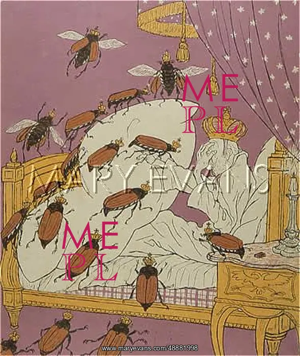: JOSEF & COCKROACHES / 1908 : JOSEF & COCKROACHES / 1908