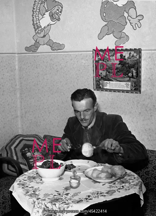 : Josef Suchy - innovation : Josef Suchy - innovation