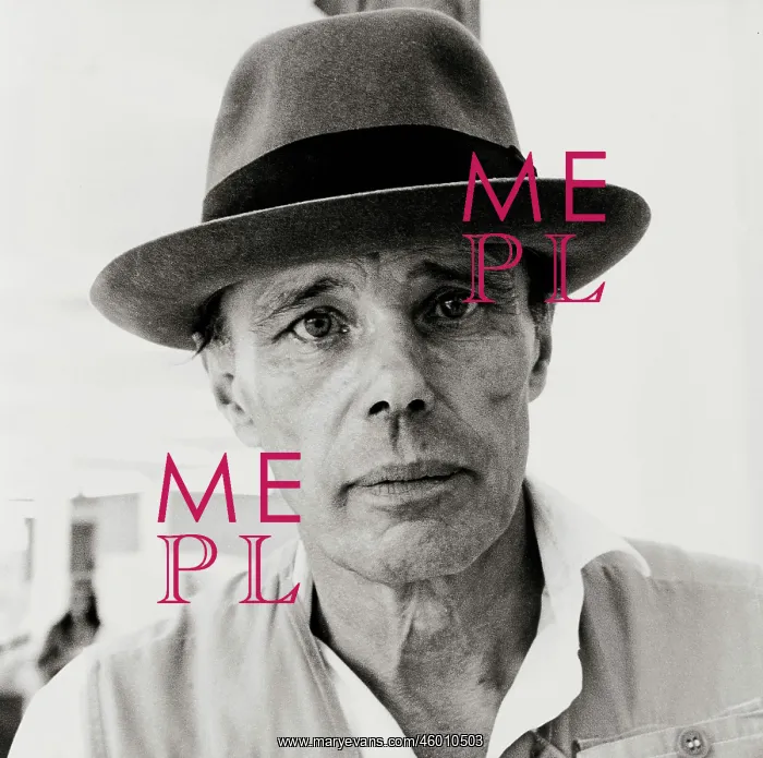: Joseph Beuys : Joseph Beuys