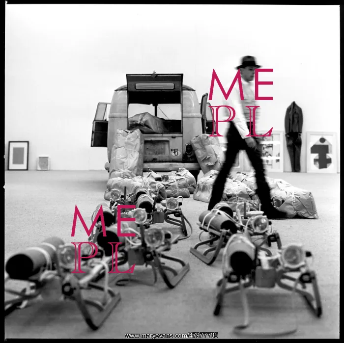 : Joseph Beuys : Joseph Beuys