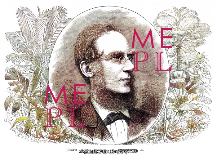 : JOSEPH DALTON HOOKER : JOSEPH DALTON HOOKER