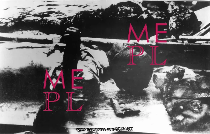 : Joseph Goebbels - corpse