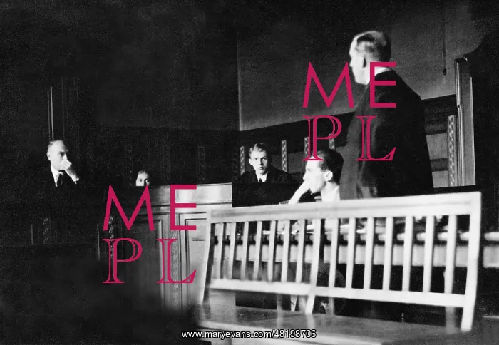 : Joseph Goebbels in court, 1932 : Joseph Goebbels in court, 1932