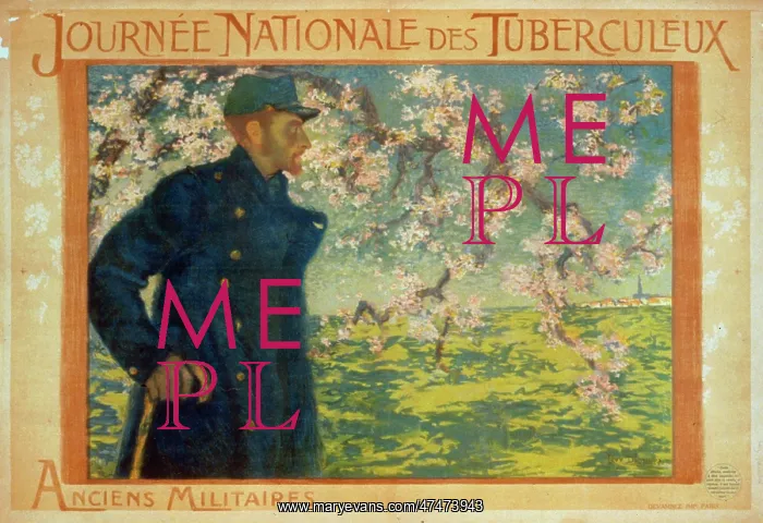 : Journe Nationale des Tuberculeux. Anciens Militaires : Journe Nationale des Tuberculeux. Anciens Militaires