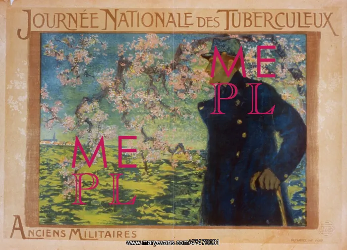 : Journe Nationale des Tuberculeux. Anciens Militaires : Journe Nationale des Tuberculeux. Anciens Militaires