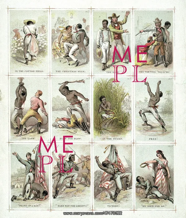 : Journey of a slave from the plantation to the battlefield : Journey of a slave from the plantation to the battlefield