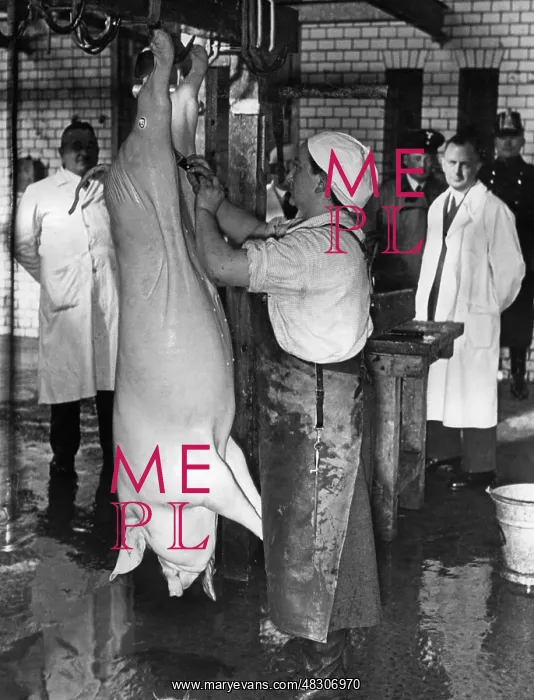 : Journeyman's examination in Berlin, 1937 : Journeyman's examination in Berlin, 1937