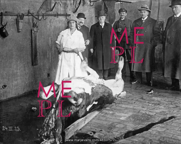 : Journeyman's examination in Berlin slaughterhouse, 1925 : Journeyman's examination in Berlin slaughterhouse, 1925