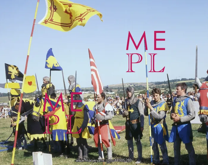 : Jousting tournament, St Erth, Cornwall : Jousting tournament, St Erth, Cornwall