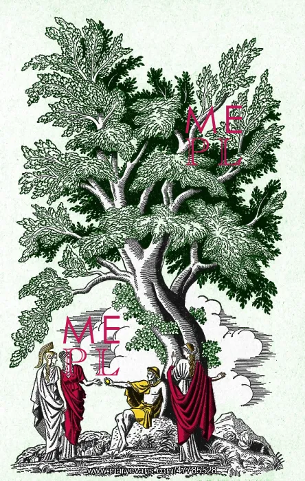 : Judgement of Paris : Judgement of Paris