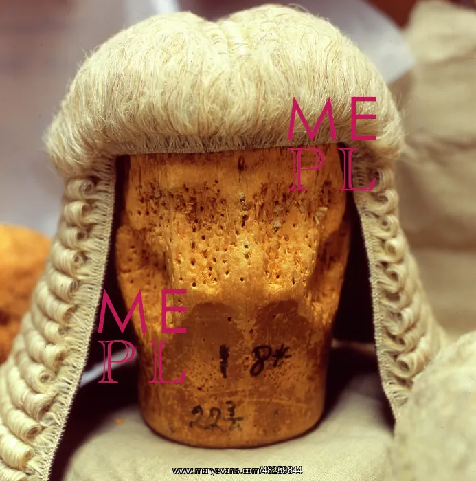  : Judge's wig, on stand