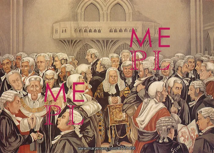  : Judical Crowd