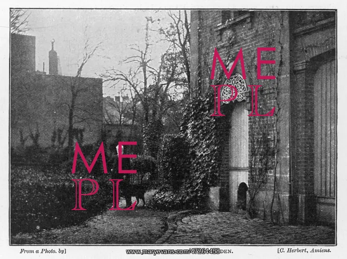 : JULES VERNE / GARDEN : JULES VERNE / GARDEN