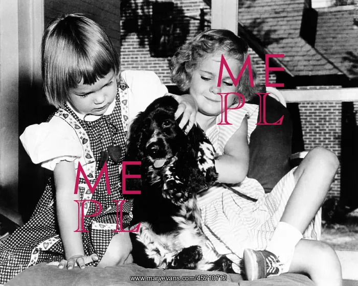 : Julie and Tricia Nixon playing with their ? : Julie and Tricia Nixon playing with their ?