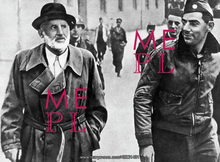 : Julius Streicher after his arrest, 1945 : Julius Streicher after his arrest, 1945