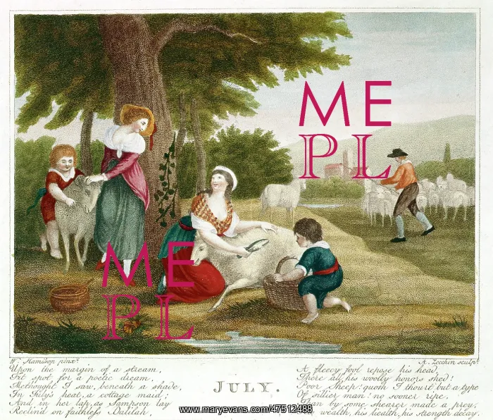 : July ' 18th century sheep shearing scene : July ' 18th century sheep shearing scene