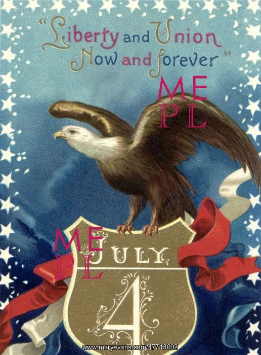 : July Fourth Eagle : July Fourth Eagle